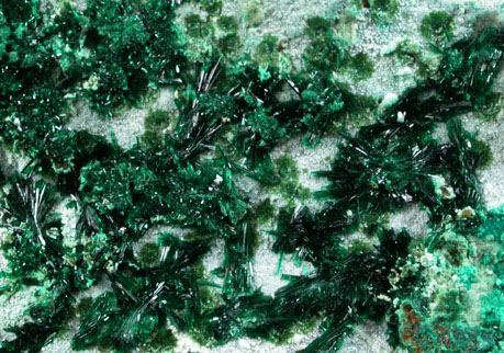 Atacamite from Mina la Farola, Copiapo, Atacama Desert, Chile (Type Locality for Atacamite)