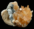 Calcite in Fossilized Clam from Ruck's Pit Quarry, Fort Drum, Okeechobee County, Florida