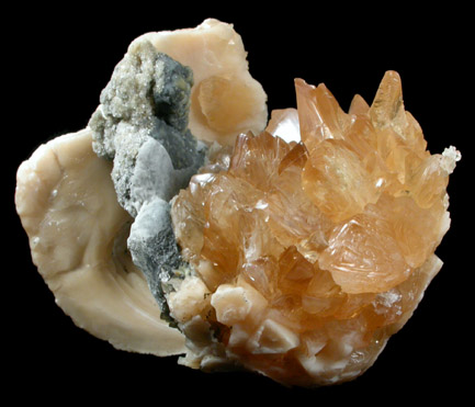 Calcite in Fossilized Clam from Ruck's Pit Quarry, Fort Drum, Okeechobee County, Florida