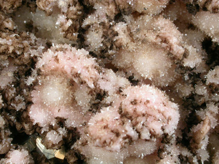 Rhodochrosite, Quartz, Pyrite, Dolomite, Sphalerite from Raura Mine, Raura, Cajatambo, Lima Dept., Peru