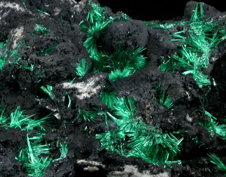 Malachite from Kambove Mining District, 130 km NW of Lubumbashi, Katanga Copperbelt, Lualaba Province, Democratic Republic of the Congo