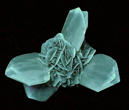 Gypsum var. Selenite from Red River Floodway, Winnipeg, Manitoba, Canada