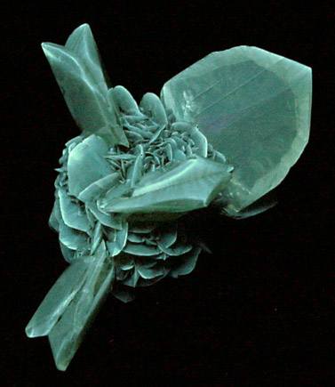 Gypsum var. Selenite from Red River Floodway, Winnipeg, Manitoba, Canada