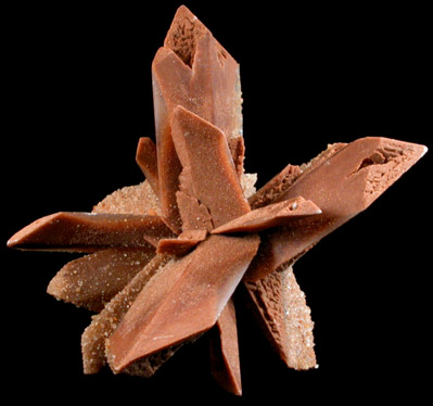 Gypsum var. Selenite from Great Salt Plains, near Jet, Alfalfa County, Oklahoma