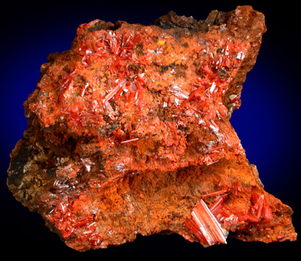 Crocoite from Adelaide Proprietary Mine, Dundas, Zeehan, Tasmania, Australia