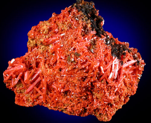 Crocoite from Adelaide Mine, Dundas, Zeehan, Tasmania, Australia