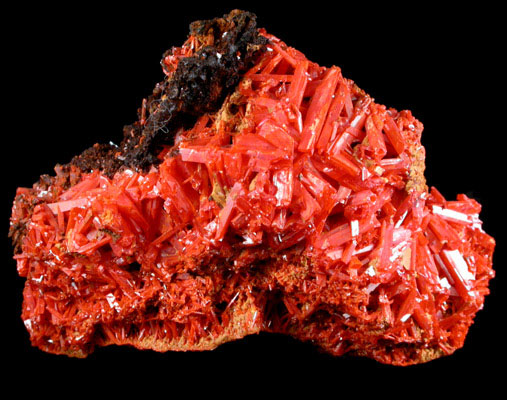 Crocoite from Adelaide Mine, Dundas, Zeehan, Tasmania, Australia