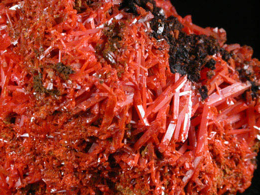 Crocoite from Adelaide Mine, Dundas, Zeehan, Tasmania, Australia