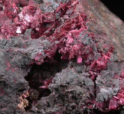 Erythrite in Skutterudite from Bou Azzer District, Anti-Atlas Mountains, Tazenakht, Ouarzazate, Morocco (Type Locality for Erythrite)