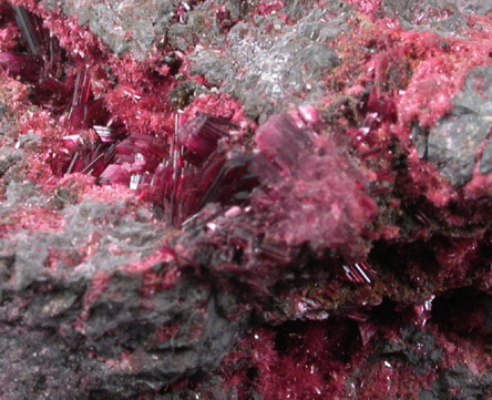 Erythrite in Skutterudite from Bou Azzer District, Anti-Atlas Mountains, Tazenakht, Ouarzazate, Morocco (Type Locality for Erythrite)