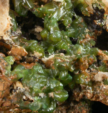 Pyromorphite from Friedrickssegen, Bad Ems, Rhineland-Palatinate, Germany