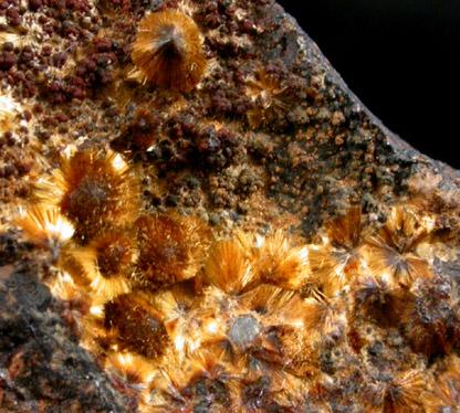 Cacoxenite from Eleonore Mine, Dunnsberg, Geissen, Hessen, Germany