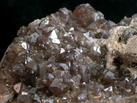 Scheelite on Quartz from Zinnwald-Cnovec District, Erzgebirge, Saxony-Bohemia border region, Germany-Czech Republic