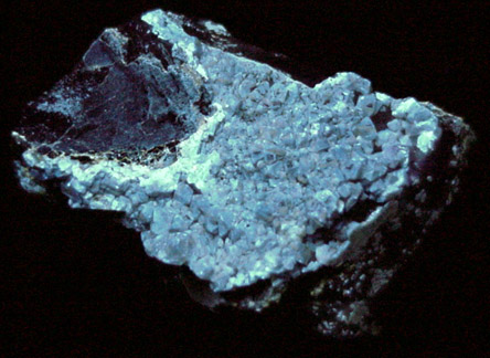 Scheelite on Quartz from Zinnwald-Cnovec District, Erzgebirge, Saxony-Bohemia border region, Germany-Czech Republic