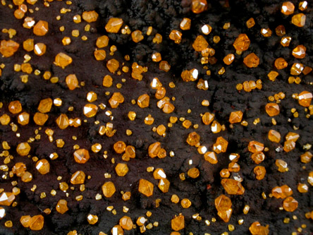 Wulfenite on Jarosite from Whim Well Mine, Whim Creek gold fields, Western Australia, Australia