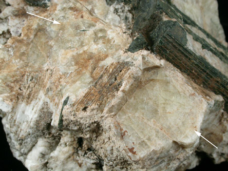 Leucophanite from Laven Island, Langesundsfjord, Norway (Type Locality for Leucophanite)