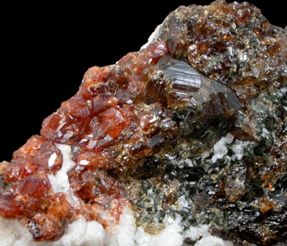Grossular Garnet, Vesuvianite, Clinochlore from (Ala Tal), Piemonte, Italy