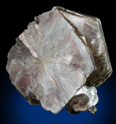 Zinnwaldite (Siderophyllite-Polylithionite) from Virgem da Lapa, Minas Gerais, Brazil