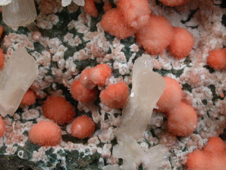 Gyrolite and Stilbite from Jalgaon, Deccan Plateau, Maharashtra, India