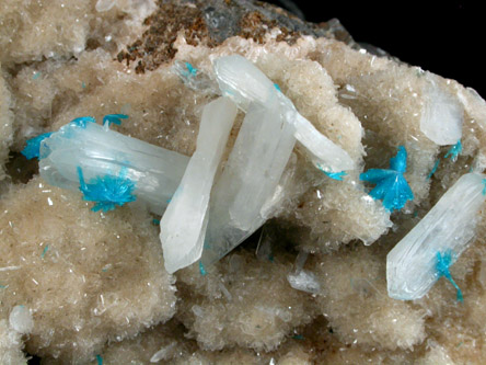 Cavansite on Quartz with Stilbite from Wagholi Quarry, Maharashtra, India