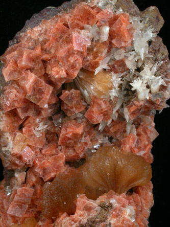 Chabazite, Calcite and Stilbite from Wasson's Bluff, Parrsboro, Nova Scotia, Canada
