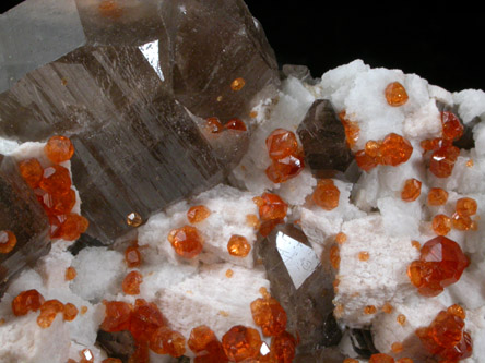 Spessartine Garnet, Smoky Quartz, Muscovite, Microcline from Tongbei-Yunling District, Fujian Province, China