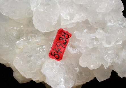 Calcite from Magdalena District, Socorro County, New Mexico