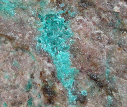 Ajoite and Papagoite from New Cornelia Mine, Ajo, Pima County, Arizona (Type Locality for Ajoite and Papagoite)