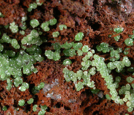 Conichalcite and Calcite from Mina Ojuela, Mapimi, Durango, Mexico