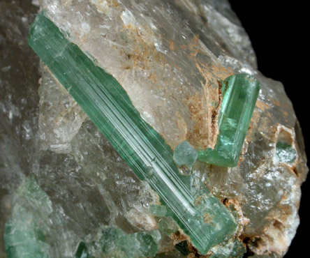 Elbaite Tourmaline in Quartz from Minas Gerais, Brazil