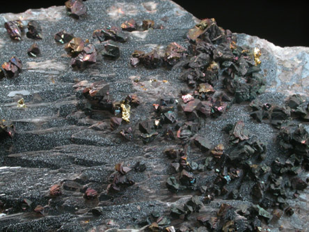 Barite with Chalcopyrite and Hematite from Pilot Knob Mine, Iron County, Missouri