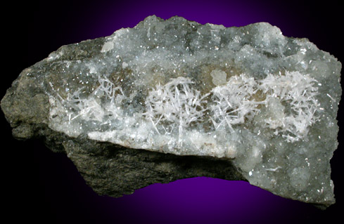 Natrolite on Datolite from Bergen Hill, Hudson County, New Jersey