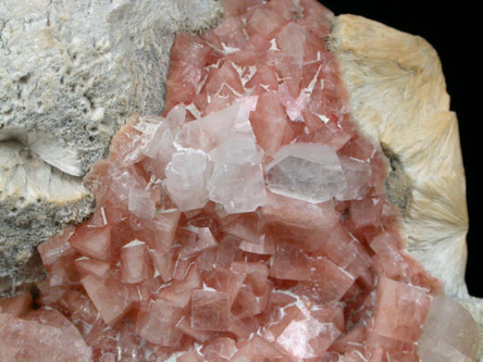 Chabazite and Heulandite on Pectolite from New Street Quarry, Paterson, Passaic County, New Jersey