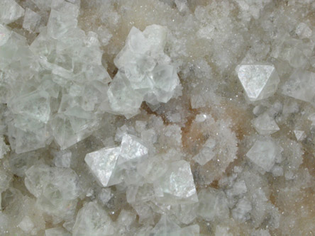 Fluorite on Quartz from Zarembo Island, northeast of Prince of Wales Island, Alaska