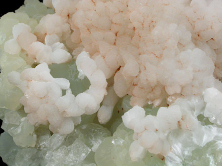 Thomsonite on Prehnite from Lower New Street Quarry, Paterson, Passaic County, New Jersey