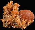 Stilbite from McDowell's Quarry, Upper Montclair, Essex County, New Jersey