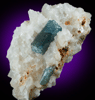 Fluorapatite in Calcite from Parham, Ontario, Canada