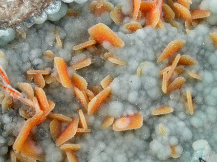 Wulfenite with druzy Quartz on Hemimorphite from Finch Mine (Barking Spider Mine), north of Hayden, Banner District, Gila County, Arizona