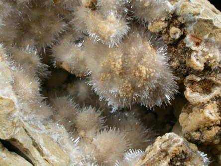 Kutnohorite and Aragonite from Levane, Val D'Arno, Tuscany, Italy