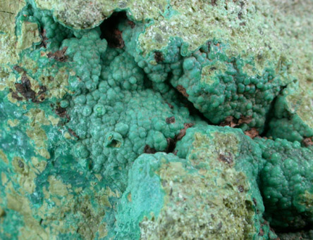 Pseudomalachite and Chrysocolla from Schuyler Copper Mine, North Arlington, Bergen County, New Jersey