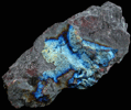 Hematite var. Turgite from Hat Lease, Goldfield District, Esmeralda County, Nevada