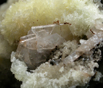 Catapleiite and Calcite from Mont Saint-Hilaire, Qubec, Canada