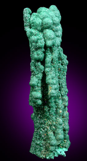 Malachite from Kolwezi Mining District, 240 km WNW of  Lubumbashi, Katanga Copperbelt, Lualaba Province, Democratic Republic of the Congo