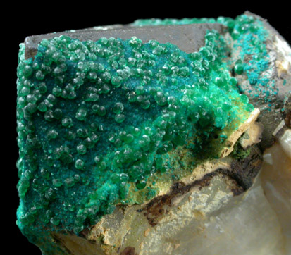 Philipsburgite and Veszelyite on Quartz from Black Pine Mine, Flint Creek Valley, Granite County, Montana (Type Locality for Philipsburgite)