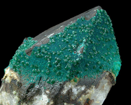 Philipsburgite and Veszelyite on Quartz from Black Pine Mine, Flint Creek Valley, Granite County, Montana (Type Locality for Philipsburgite)