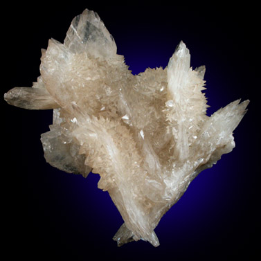 Gypsum var. Selenite from Naica District, Saucillo, Chihuahua, Mexico