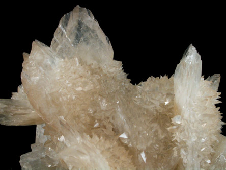 Gypsum var. Selenite from Naica District, Saucillo, Chihuahua, Mexico