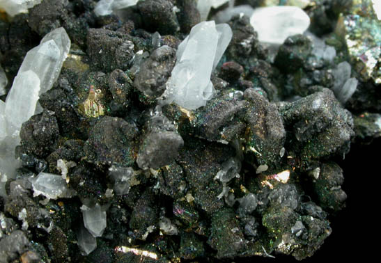 Enargite, Chalcopyrite, Quartz from Butte Mining District, Summit Valley, Silver Bow County, Montana