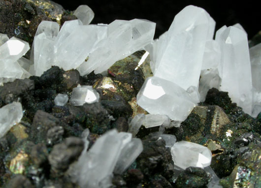 Enargite, Chalcopyrite, Quartz from Butte Mining District, Summit Valley, Silver Bow County, Montana