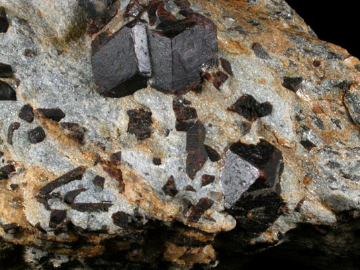 Almandine Garnet with Staurolite from Green's Farm, 750 m. ESE of Roxbury Falls, Roxbury, New Haven County, Connecticut